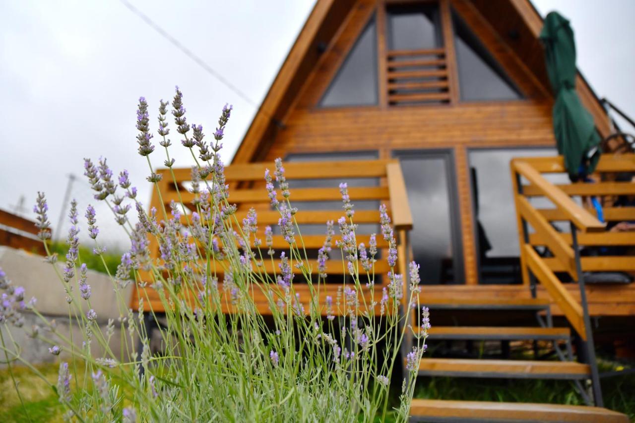 Kazbegi Spa Resort Cottages Eksteriør bilde
